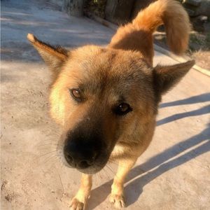 Meet your Posher, Alex